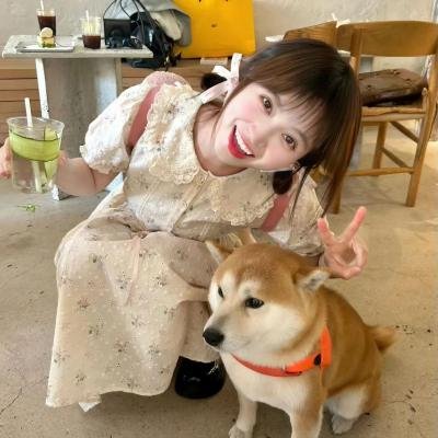 圣兽 在线观看